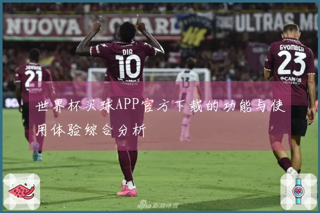 世界杯买球APP官方下载的功能与使用体验综合分析