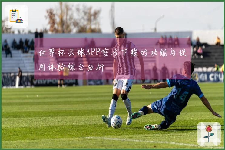 世界杯买球APP官方下载的功能与使用体验综合分析