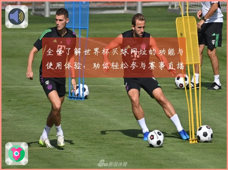 全面了解世界杯买球网址的功能与使用体验，助你轻松参与赛事直播